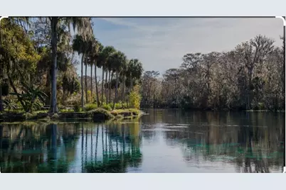 2856 NE 104th Avenue, Silver Springs, FL 34488 - Photo 62