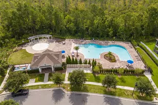 15068 Lebeau Loop, Winter Garden, FL 34787 - Photo 88