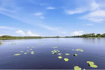 10692 Royal Cypress Way, Orlando, FL 32836 - Photo 2