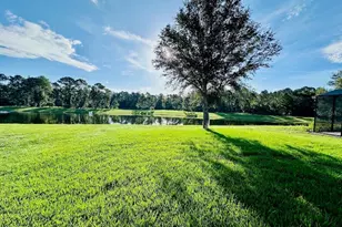 10726 Cabbage Tree Loop, Orlando, FL 32825 - Photo 24
