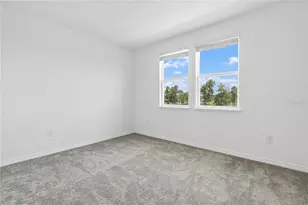 15153 Summer Harvest St, Winter Garden, FL 34787 - Photo 16