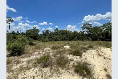 1342 Homosassa Court, Poinciana, FL 34759 - Photo 4