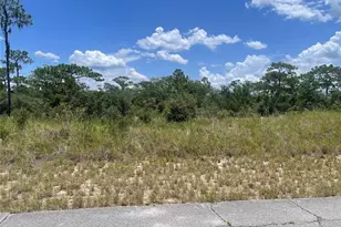 1340 Homosassa Ct, Kissimmee, FL 34759 - Photo 1