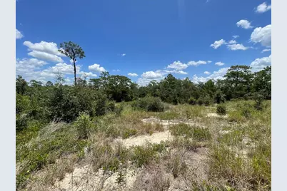 1340 Homosassa Court, Kissimmee, FL 34759 - Photo 2