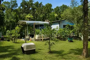 335 Stacy Grove Rd Rd, Oak Hill, FL 32759 - Photo 4