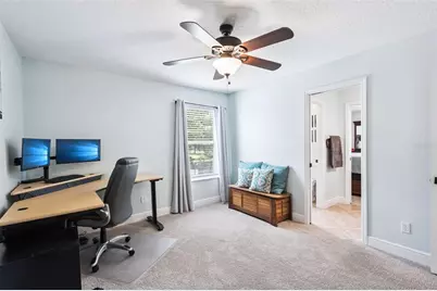 30148 Jutland Court, Mount Dora, FL 32757 - Photo 40