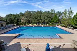 30148 Jutland Ct, Mount Dora, FL 32757 - Photo 68