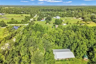 24003 Sisler Ave, Christmas, FL 32709 - Photo 56