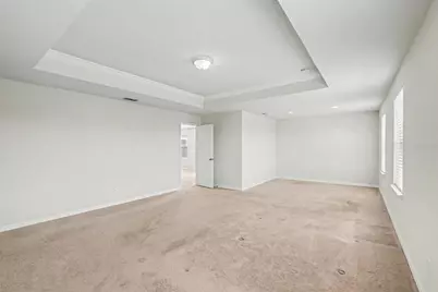 9217 European Olive Way, Riverview, FL 33578 - Photo 14