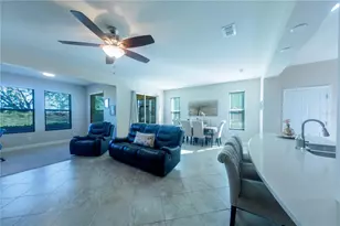 17459 Chateau Pine Way, Clermont, FL 34711 - Photo 6