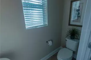 17459 Chateau Pine Way, Clermont, FL 34711 - Photo 20