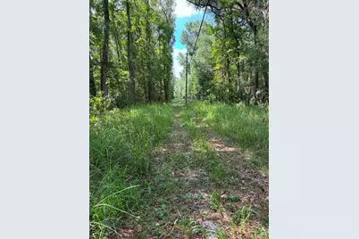 12168 Ponce De Leon Boulevard, Brooksville, FL 34601 - Photo 2