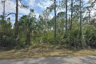14055 Rider Ave, Port Charlotte, FL 33953 - Photo 1