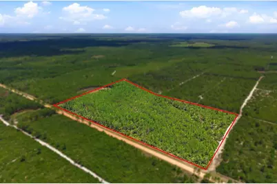 Lot 70 Maggie Jones Road Road, Eustis, FL 32736 - Photo 2