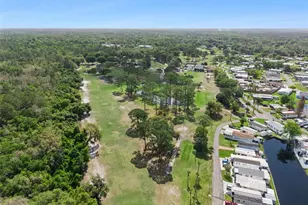301 Lakeview Dr, Osteen, FL 32764 - Photo 20