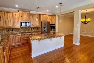 6803 Lockington Ct, Tampa, FL 33625 - Photo 14