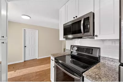 1125 N Tremain Street, Mount Dora, FL 32757 - Photo 10