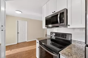1125 N Tremain St, Mount Dora, FL 32757 - Photo 10