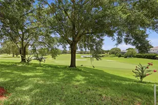 3910 Liberty Hill Dr, Clermont, FL 34711 - Photo 44