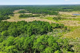 5365 Paces Landing Rd, Mims, FL 32754 - Photo 44