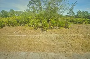 220 Broach Street NW, Lake Placid, FL 33852 - Photo 1