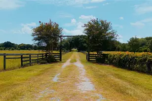 21341 Horse Ranch Rd, Mount Dora, FL 32757 - Photo 4