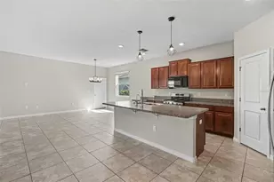 21087 Pleasant Plains Pkwy, Land O Lakes, FL 34637 - Photo 10