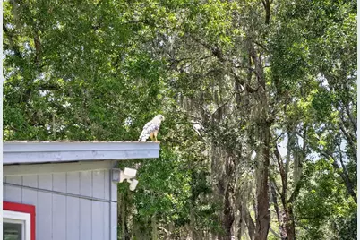 1043 Lakeside Drive, Apopka, FL 32712 - Photo 60
