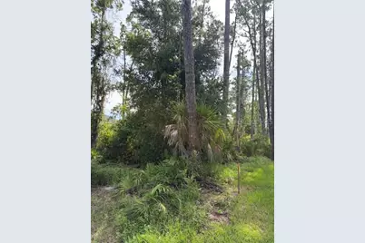 5th Avenue, Deland, FL 32724 - Photo 2