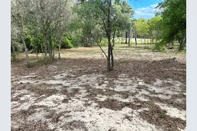 6281 SW 169th Court, Ocala, FL 34481 - Photo 4