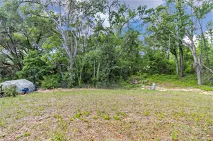 4592 SW Channel Heights Ct, Dunnellon, FL 34431 - Photo 36