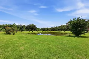 13525 Palm Dr, Astatula, FL 34705 - Photo 66