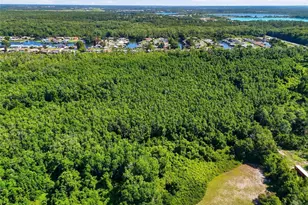 13525 Palm Dr, Astatula, FL 34705 - Photo 92