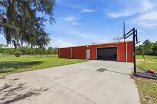 13525 Palm Dr, Astatula, FL 34705 - Photo 60