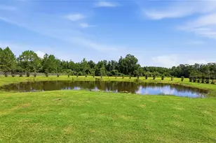 13525 Palm Dr, Astatula, FL 34705 - Photo 64