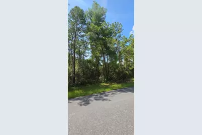 0 SW 151 Place, Ocala, FL 34473 - Photo 6