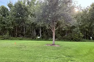 11155 Savannah Landing Cir, Orlando, FL 32832 - Photo 48