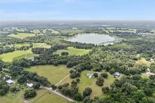 967 Cr 753S, Webster, FL 33597 - Photo 48