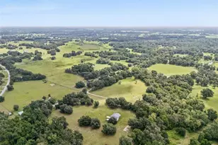 967 Cr 753S, Webster, FL 33597 - Photo 50