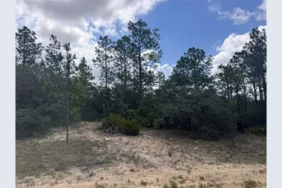 6601 N Airmont Drive, Citrus Springs, FL 34433 - Photo 4