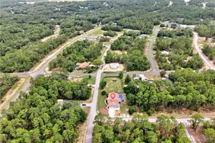 10848 N Dragonis Dr, Dunnellon, FL 34433 - Photo 40