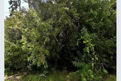 Map Avenue, North Port, FL 34286 - Photo 1