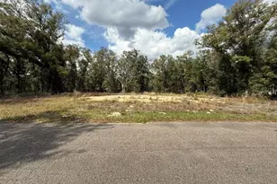 5 Fisher Ln Crse, Ocklawaha, FL 32179 - Photo 1