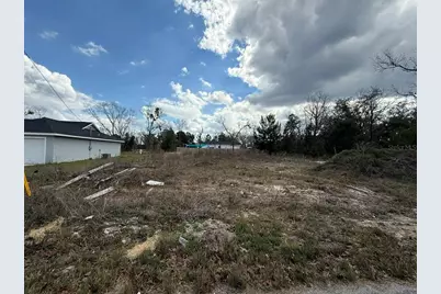 41 Fisher Lane Track, Ocklawaha, FL 32179 - Photo 2