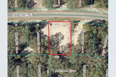 26 Fisher Way Trail, Ocklawaha, FL 32179 - Photo 2