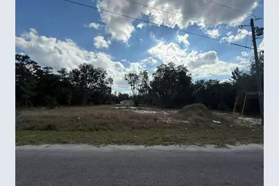 26 Fisher Way Trail, Ocklawaha, FL 32179 - Photo 1