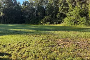 2532 Amyris Ct, Zellwood, FL 32798 - Photo 16