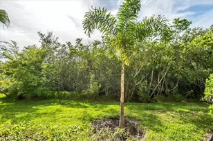 4336 Spinnaker Cove Ln, Tampa, FL 33615 - Photo 46