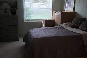 4133 Oak Grove Rd, Zellwood, FL 32798 - Photo 12