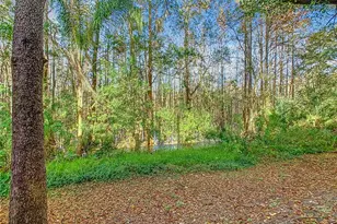 8825 Coral Palms Ct, Kissimmee, FL 34747 - Photo 38